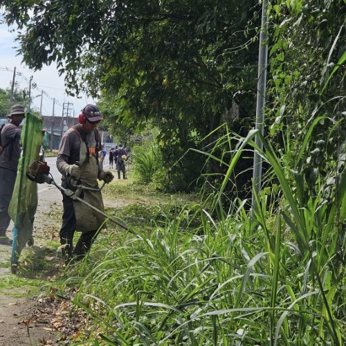 Itatiaia divulga cronograma de serviços de capina e retirada de lixo verde